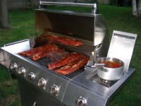 BBQ FD 003 (500 x 375).jpg