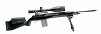 M25 sniper rifle.jpg