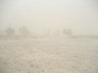 Medium sand storm.JPG